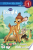 Bambi_s_Hide-And-Seek__Disney_Bambi_