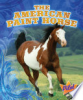 The_American_Paint_Horse