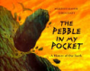 The_pebble_in_my_pocket