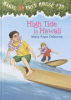 High_tide_in_Hawaii