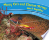 Moray_eels_and_cleaner_shrimp_work_together