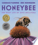 Honeybee__The_Busy_Life_of_APIs_Mellifera
