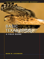 Basic_Texas_Birds