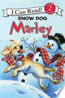 Snow_dog__Marley