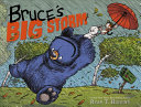 Bruce_s_big_storm