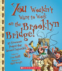 You_wouldn_t_want_to_work_on_the_Brooklyn_Bridge_