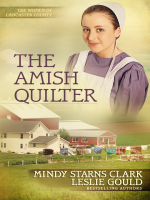 The_Amish_Quilter