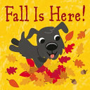 Fall_is_here_