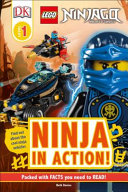 Ninja_in_action_