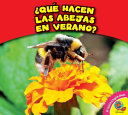 Que_hacen_las_abejas_en_verano_