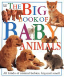 The_big_book_of_baby_animals