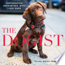 The_dogist